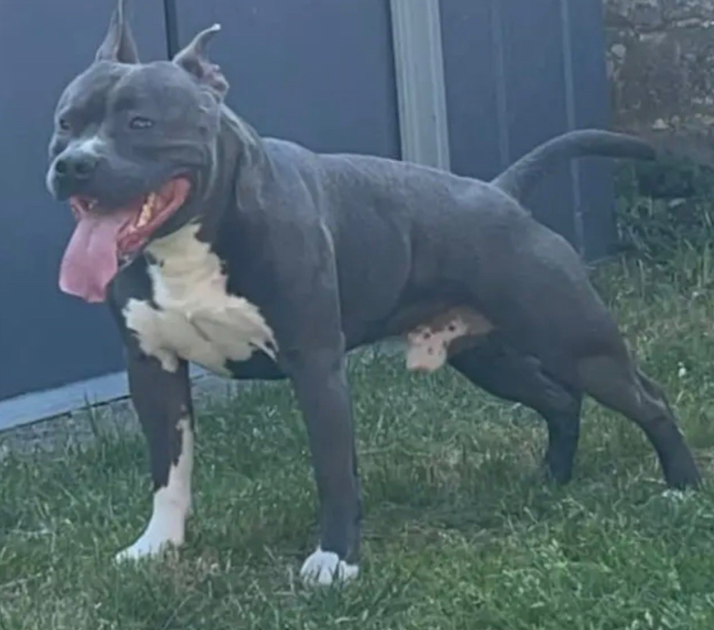Scar (Sans Affixe)